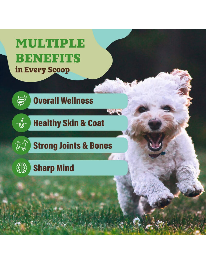 Natural Dog Company Natural Dog Company Supplements | Super Greens Powder 8 oz