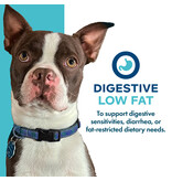 Fromm Fromm Nutritionals Canned Dog Food | Digestive Support Low Fat Pate 13 oz single
