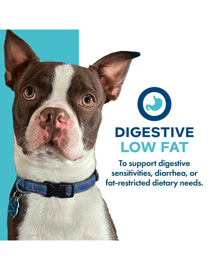 Fromm Fromm Nutritionals Canned Dog Food | Digestive Support Low Fat Pate 13 oz single