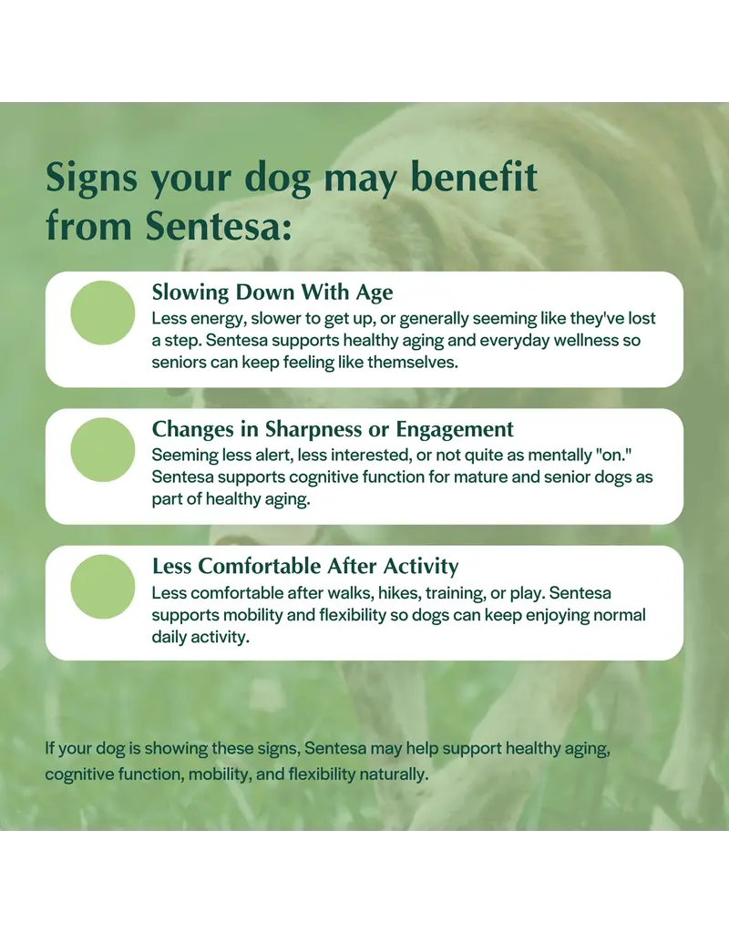 Pet Releaf Pet Releaf Sentesa | Advanced & Senior 1800 mg Powder 1.52 oz