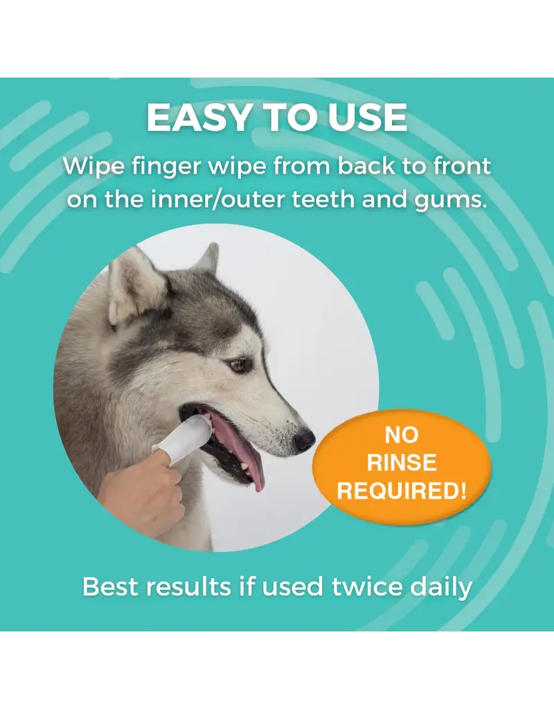 Nootie Nootie Dog Dental | Medicted Dental Finger Wipes for Dogs 80 ct