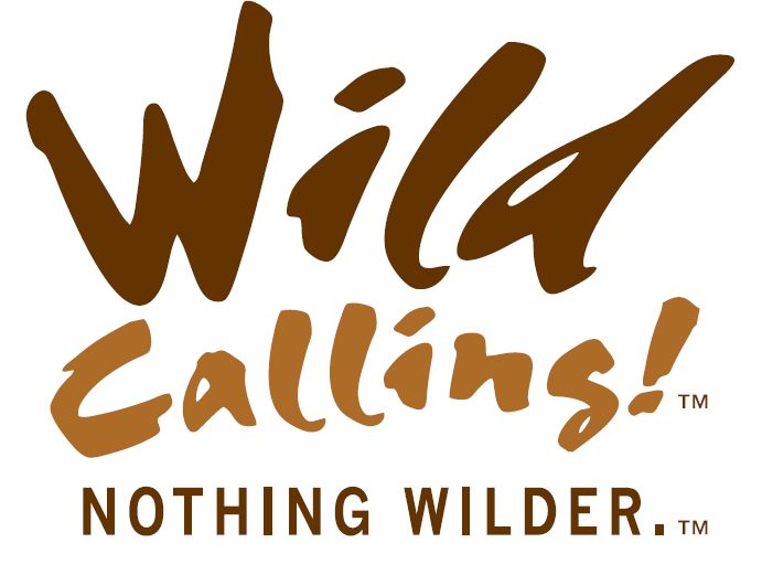 Quality is a Top Priority with Wild Calling