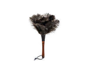 ostrich feather duster