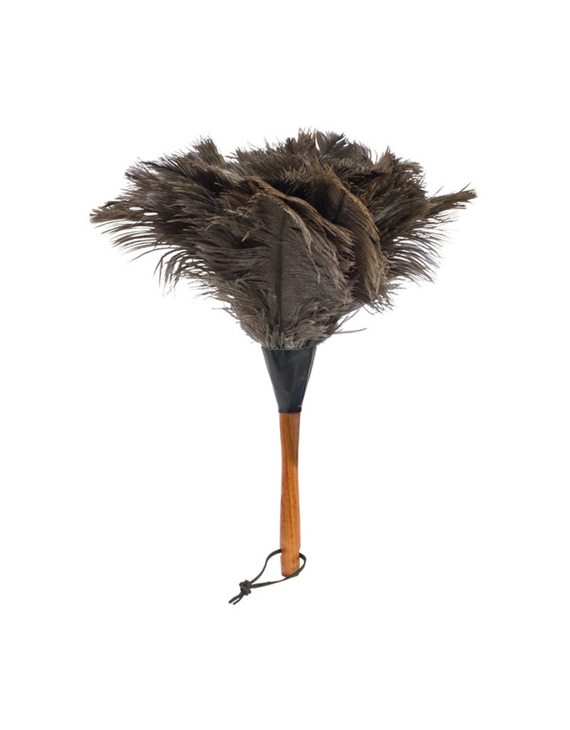 ostrich feather duster