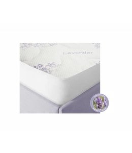 W HOME LAVENDER INFUSED MATTRESS PROTECTOR WHITE (MP6)