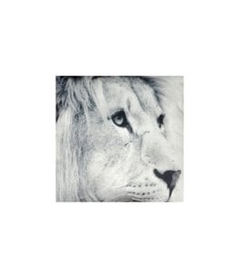 LAUREN TAYLOR PHOTOREAL SEPIA THROW 50X60"