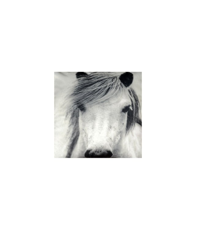 LAUREN TAYLOR PHOTOREAL SEPIA THROW 50X60" (MP6)