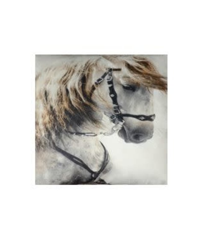 LAUREN TAYLOR PHOTOREAL SEPIA THROW 50X60" (MP6)
