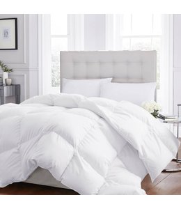 W HOME LEVEL 2 - EUROPEAN DOWN DUVET