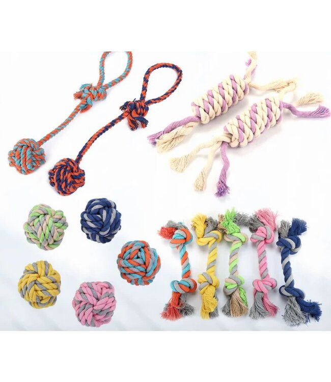 PAWS & WHISKERS ROPE DOG TOYS AST