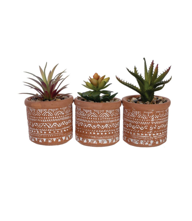LAUREN TAYLOR MINI SUCCULENT IN AZTEC DESIGN CERAMIC POT 7.5cm x 7.5cm x 13cm