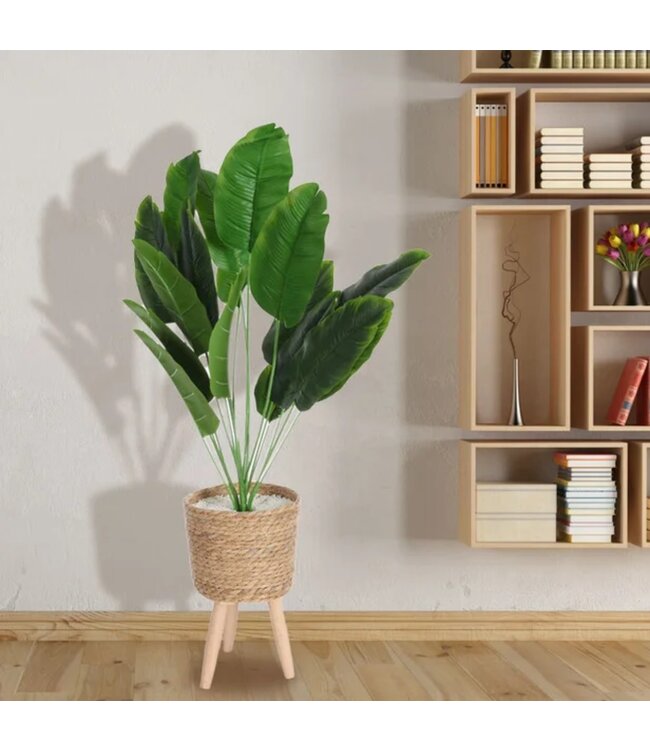 LAUREN TAYLOR GREEN LEAF PLANT IN A  TRIPOD POT 38.5"