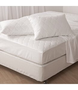 LAUREN TAYLOR ANTIBACTERIAL PILLOW PROTECTOR (MP12)