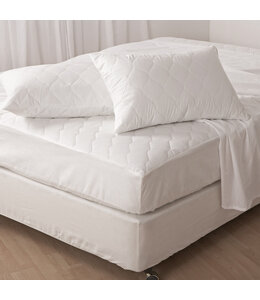 LAUREN TAYLOR ANTIBACTERIAL PILLOW PROTECTOR