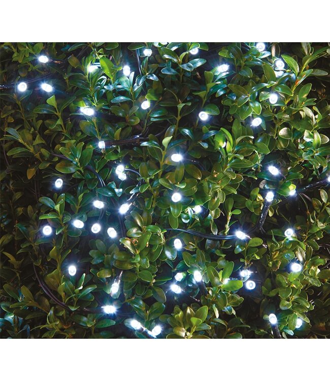 STUDIO 707 150 LED DUAL FUNCTION STRING LIGHT 2 METER COOL WHITE