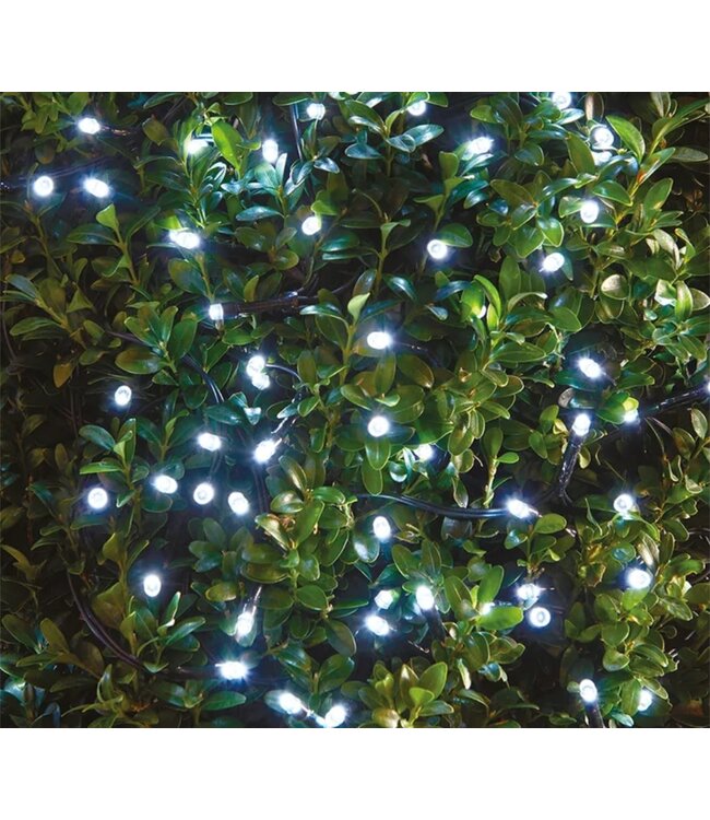 STUDIO 707 150 LED DUAL FUNCTION STRING LIGHT 2 METER WARM WHITE