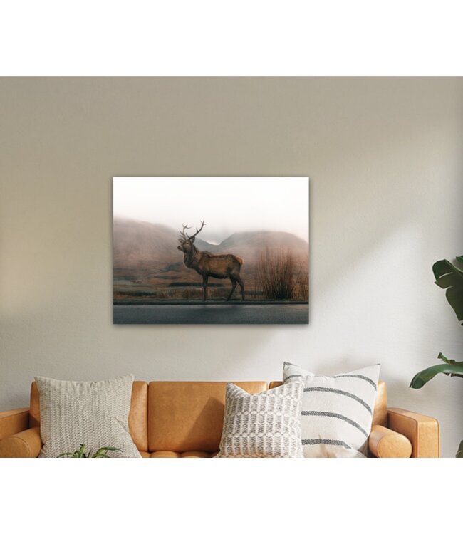 LAUREN TAYLOR FALL WILD LIFE CANVAS WALL ART AST 24X31"