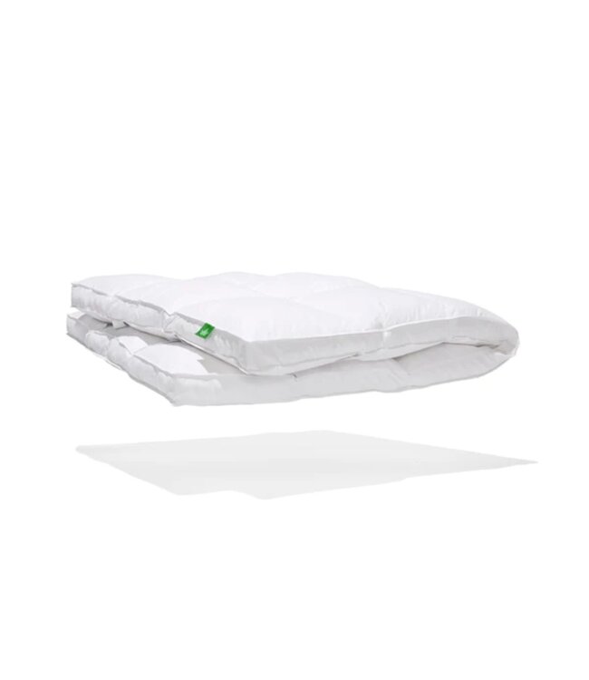 DOWN PERFECT DOWN PILLOW TOP FEATHER BED