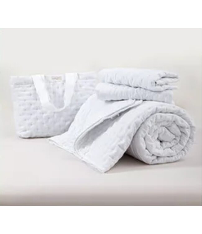 LAUREN TAYLOR LUNA 4pc QUILT SET AST