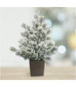 LAUREN TAYLOR CHRISTMAS PINE TREE IN WOOD POT 24"