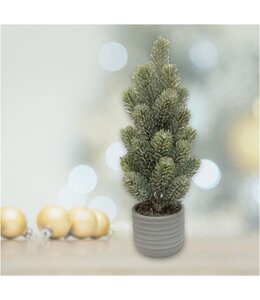 LAUREN TAYLOR CHRISTMAS TREE IN CEMENT POT 16"