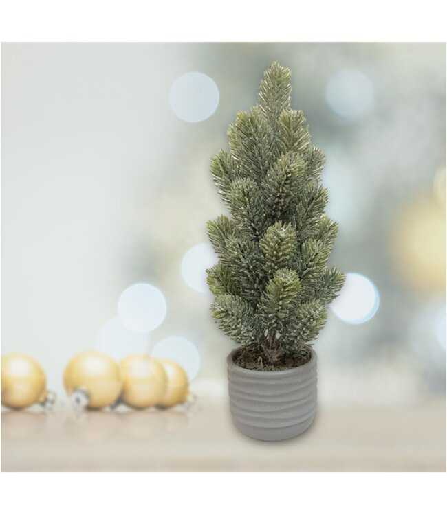 LAUREN TAYLOR CHRISTMAS TREE IN CEMENT POT 16"