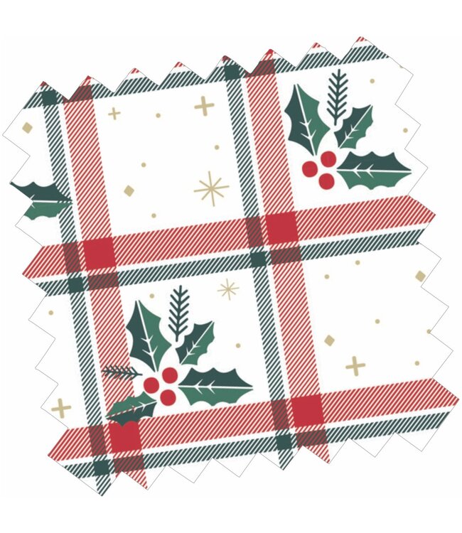 PRINTED PEVA CHRISTMAS TABLECLOTH