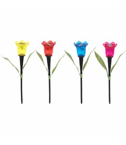 TULIP SOLAR LIGHT AST 2x12"