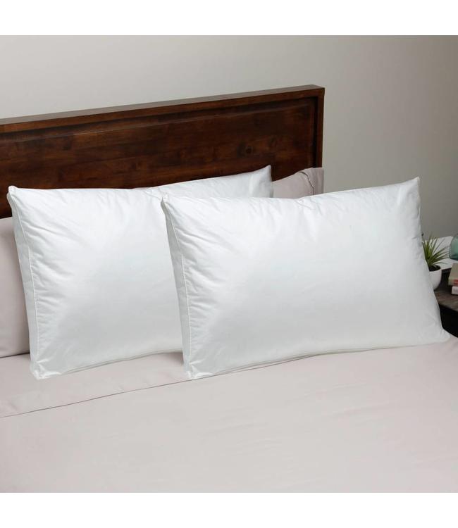 Lauren Taylor Twin Pack White Duck Feather Down Pillow Standard