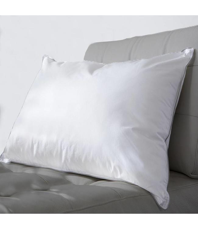 Lauren Taylor T230 Cotton Pillow W Silver Piping Queen Mp12