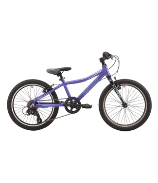 11+ Jamis Mountain Bike