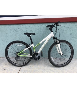 Mountain Bikes - LoweRiders Bikes 