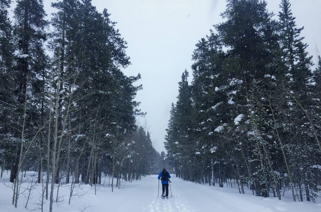 Trail Tuesday: Collegiate Peaks Campground