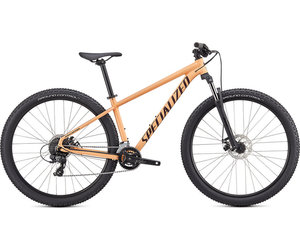 specialized rockhopper 29 small