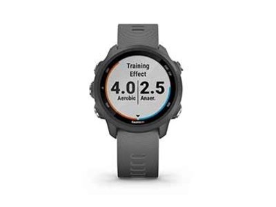 Garmin Montre Garmin Forerunner 245 Noir