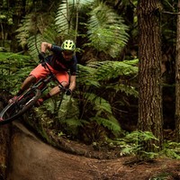 How to choose my mountain bike - Buying guide 