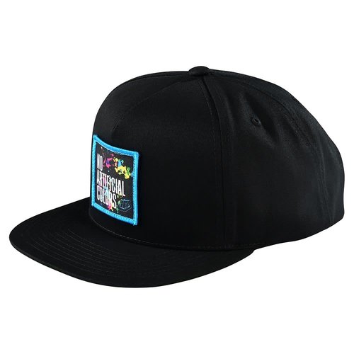 Troy Lee Designs Troy Lee Designs No Artificial Colors Spnapbak Hat Black