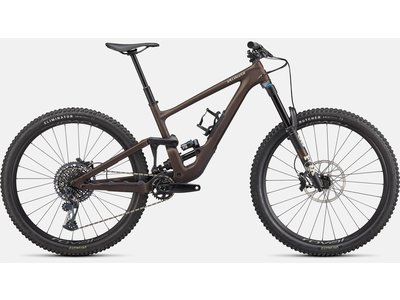 Specialized Specialized Enduro Expert Bike (Satin Doppio/Sand)