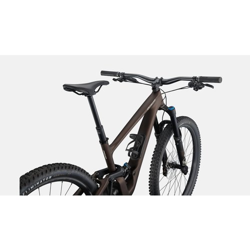 Specialized Specialized Enduro Expert Bike (Satin Doppio/Sand)