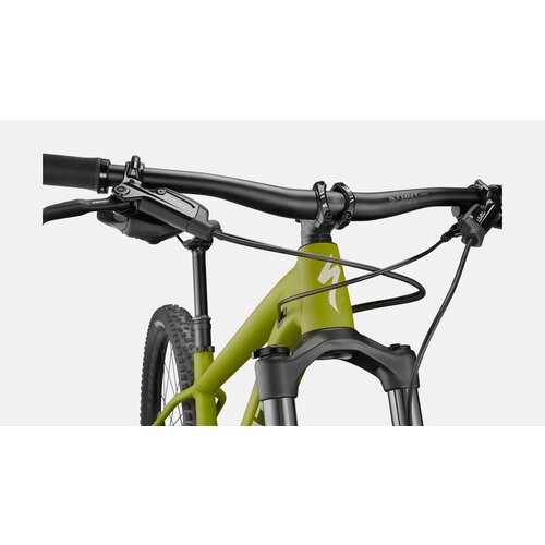 Specialized Vélo Specialized Fuse Comp 29 XLarge (Vert olive/Sable)