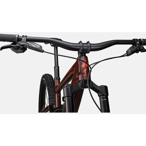 Specialized Vélo Specialized Enduro Expert 2024 (Rouille/Noir)