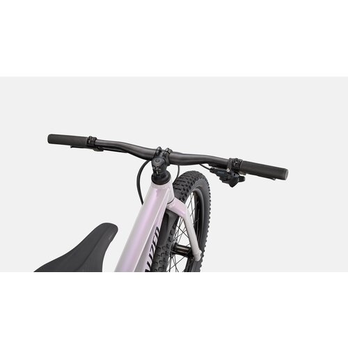 Specialized Vélo Specialized Riprock 20'' 2024 (Lilas/Noir)