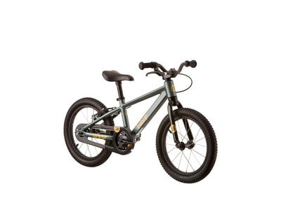 Evo Vélo pour enfants EVO Bebop 16 (Vert)