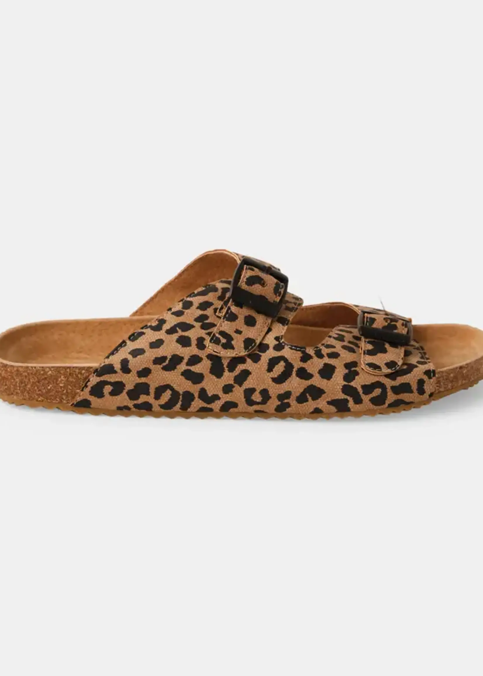 Walnut Bailey Slide Tan Leopard