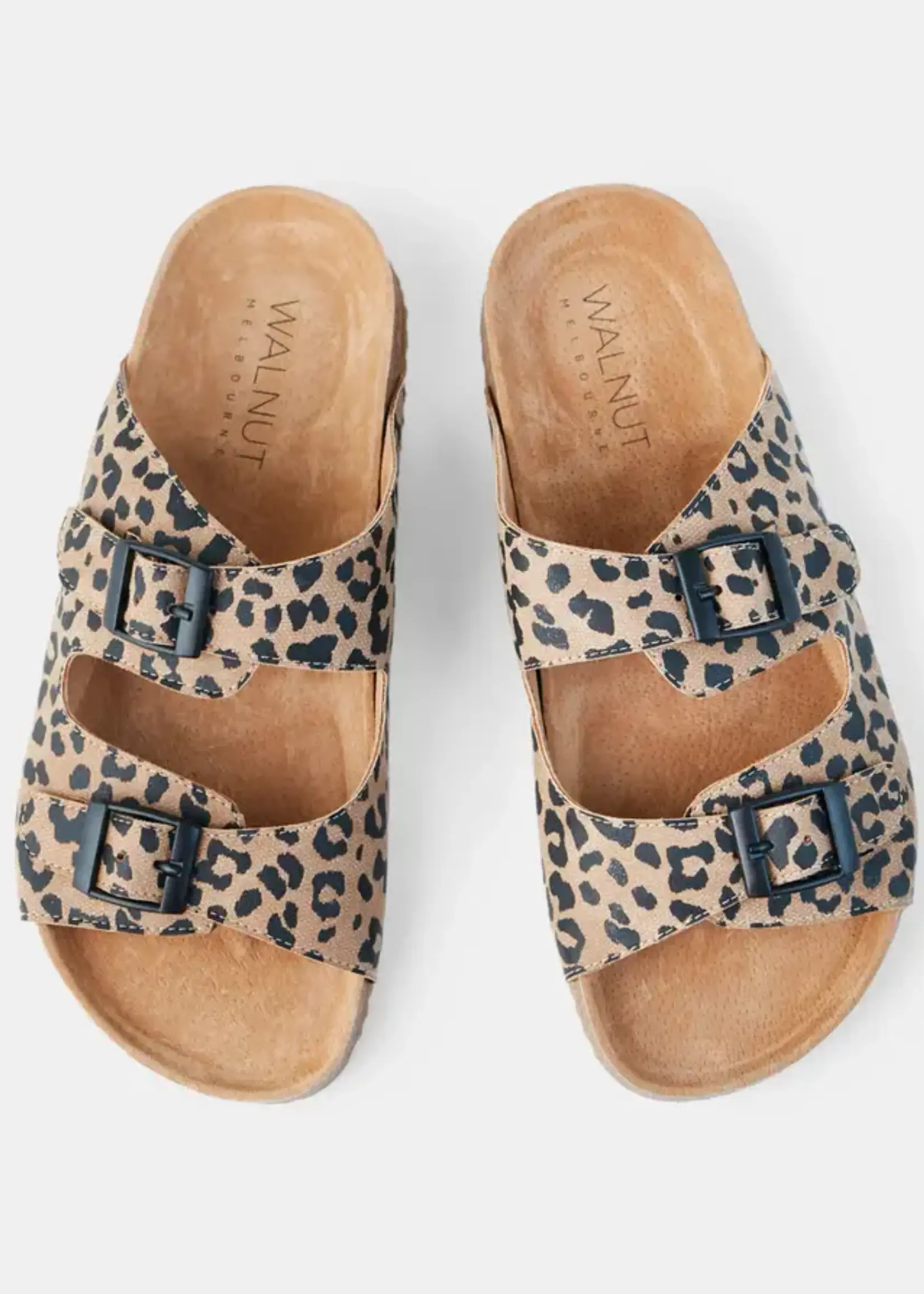 Walnut Bailey Slide Tan Leopard