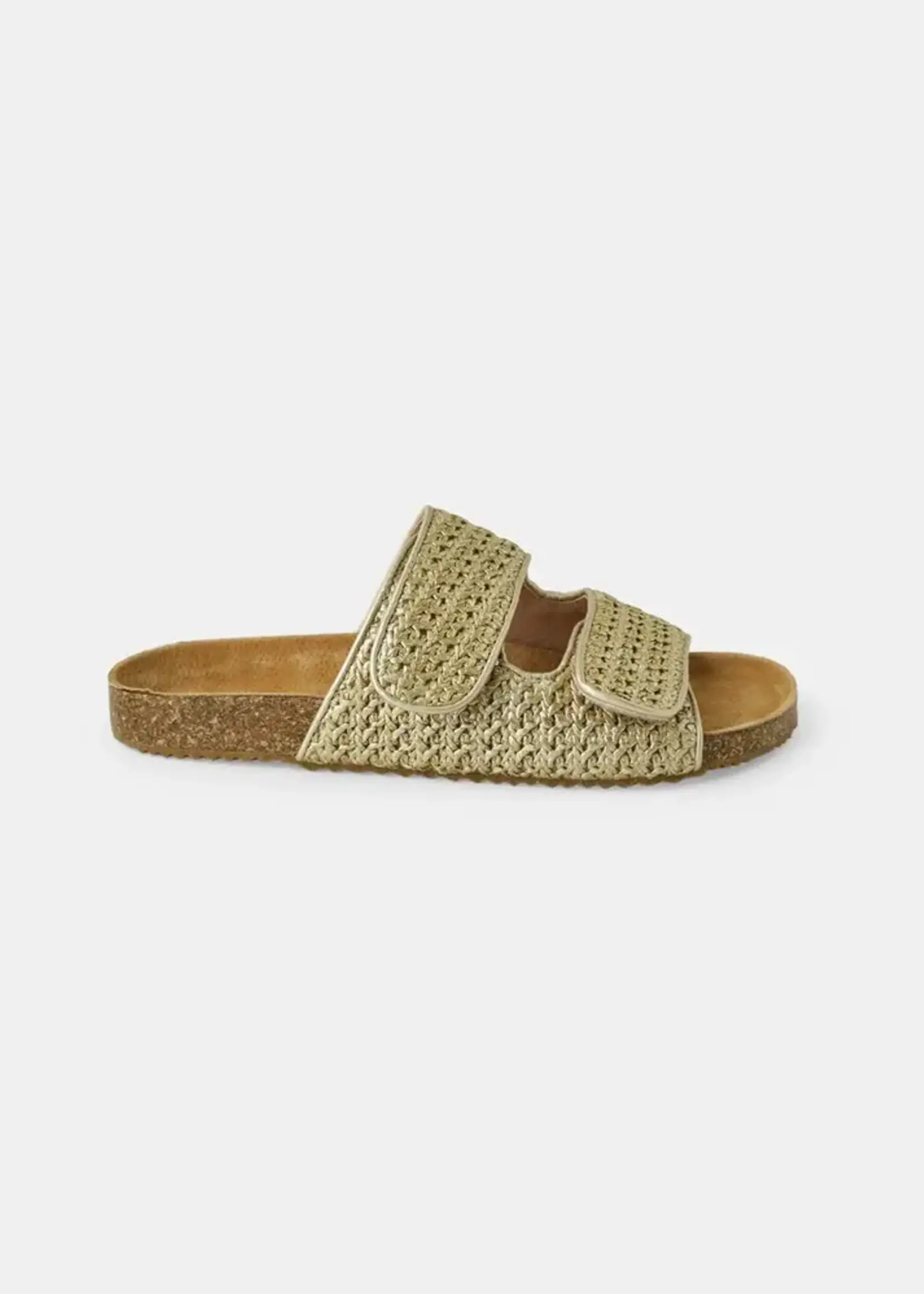 Walnut Beach Slide Gold