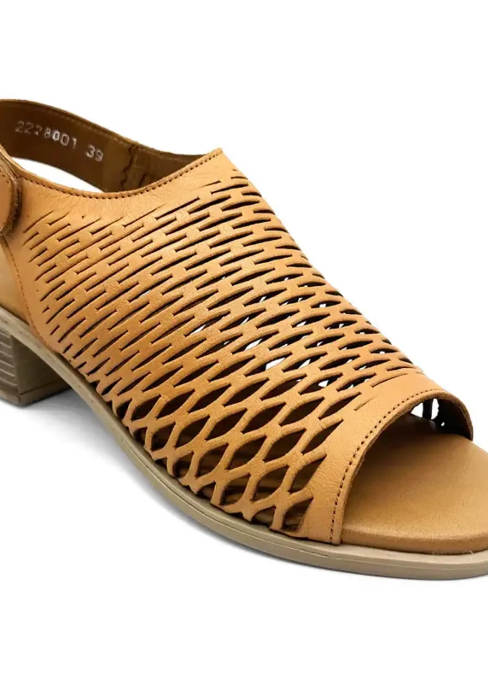 Bonnii Dee Coconut Slide