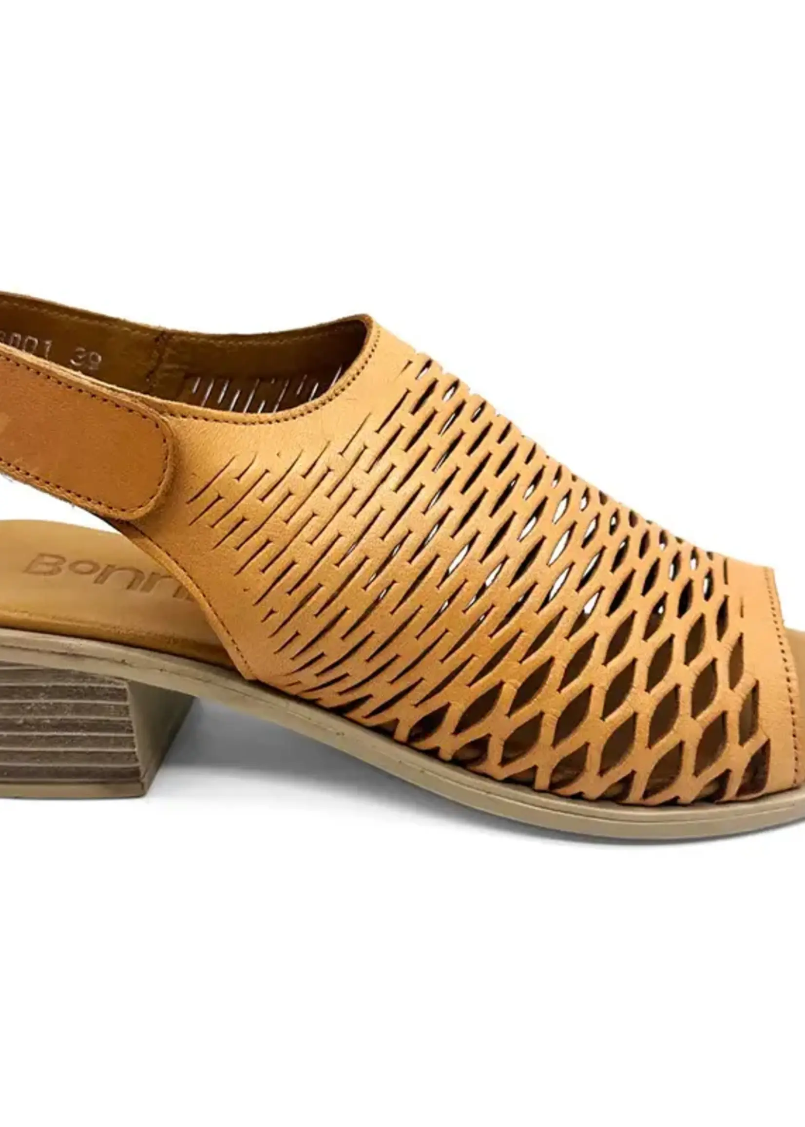 Bonnii Dee Coconut Slide