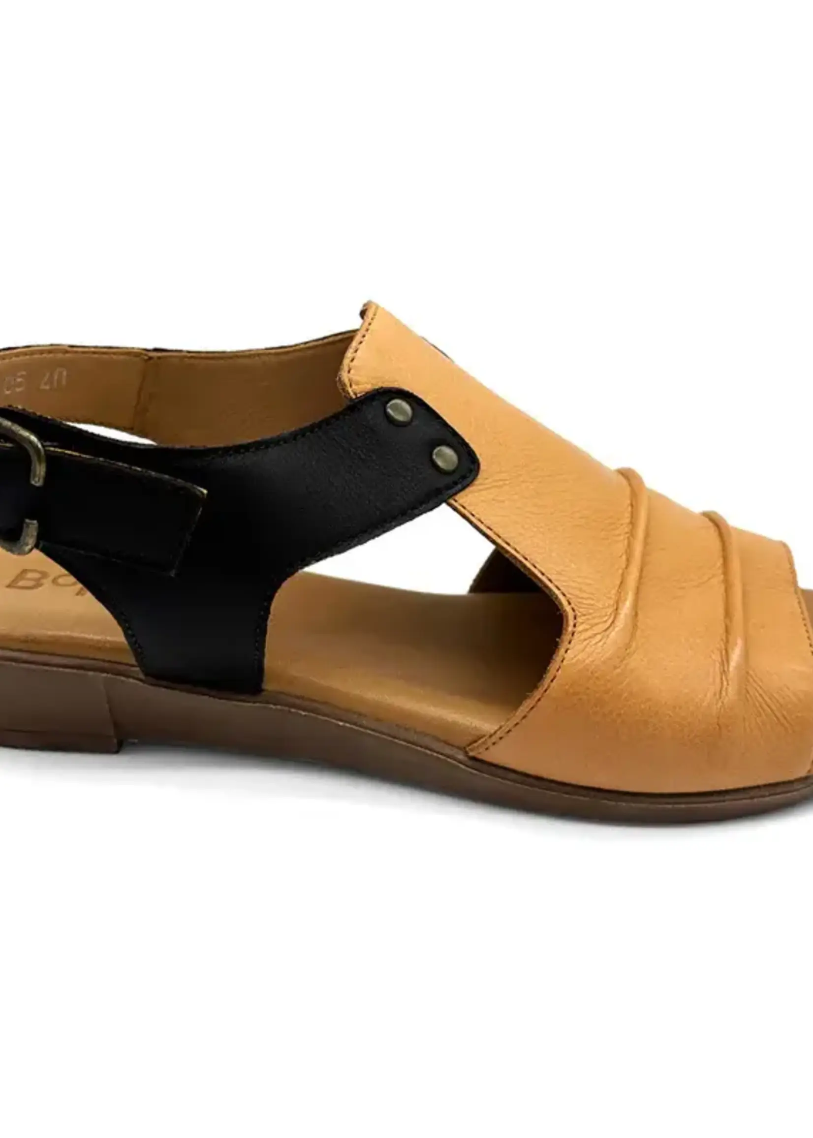 Bonnii Bonnii Aces Coconut Slide