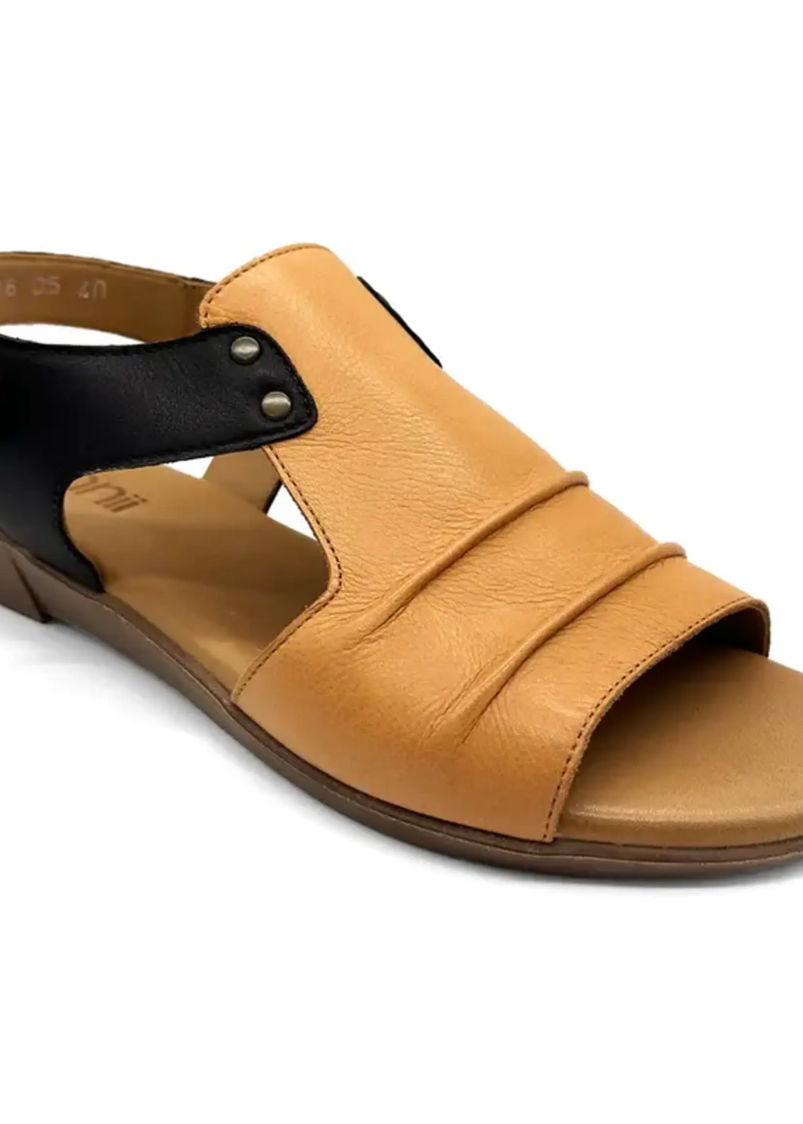 Bonnii Aces Coconut Slide